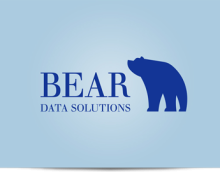 Bear Data Solutions